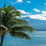 Island Sands By Coldwell Banker Island Vacations