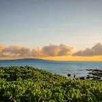 Kihei Akahi C-513