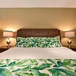Kihei Akahi C616