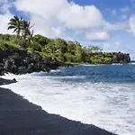 Kaleialoha 309