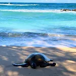 Ma\'Alaea Banyans 209
