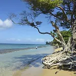 Polynesian Shores 118