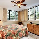 2 Bedroom Ocean Front Condo In Honokowai - Sleeps 6 - Pikake #A6