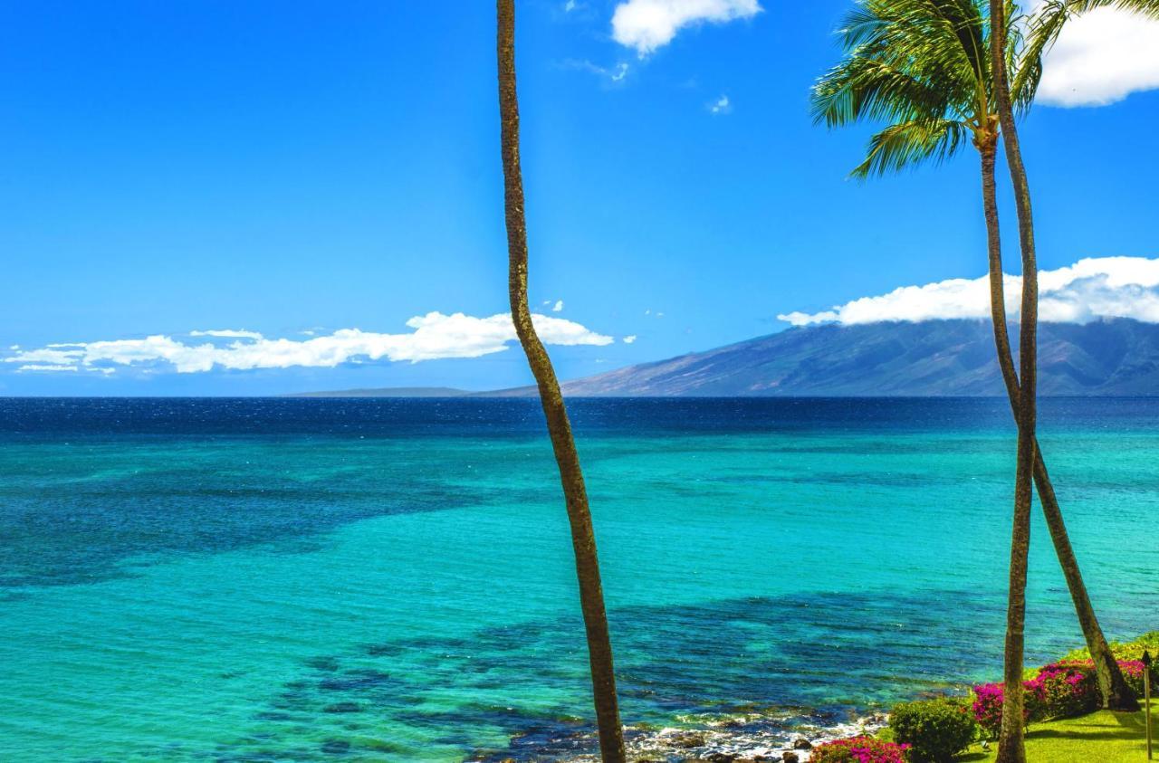 Kuleana 719 *