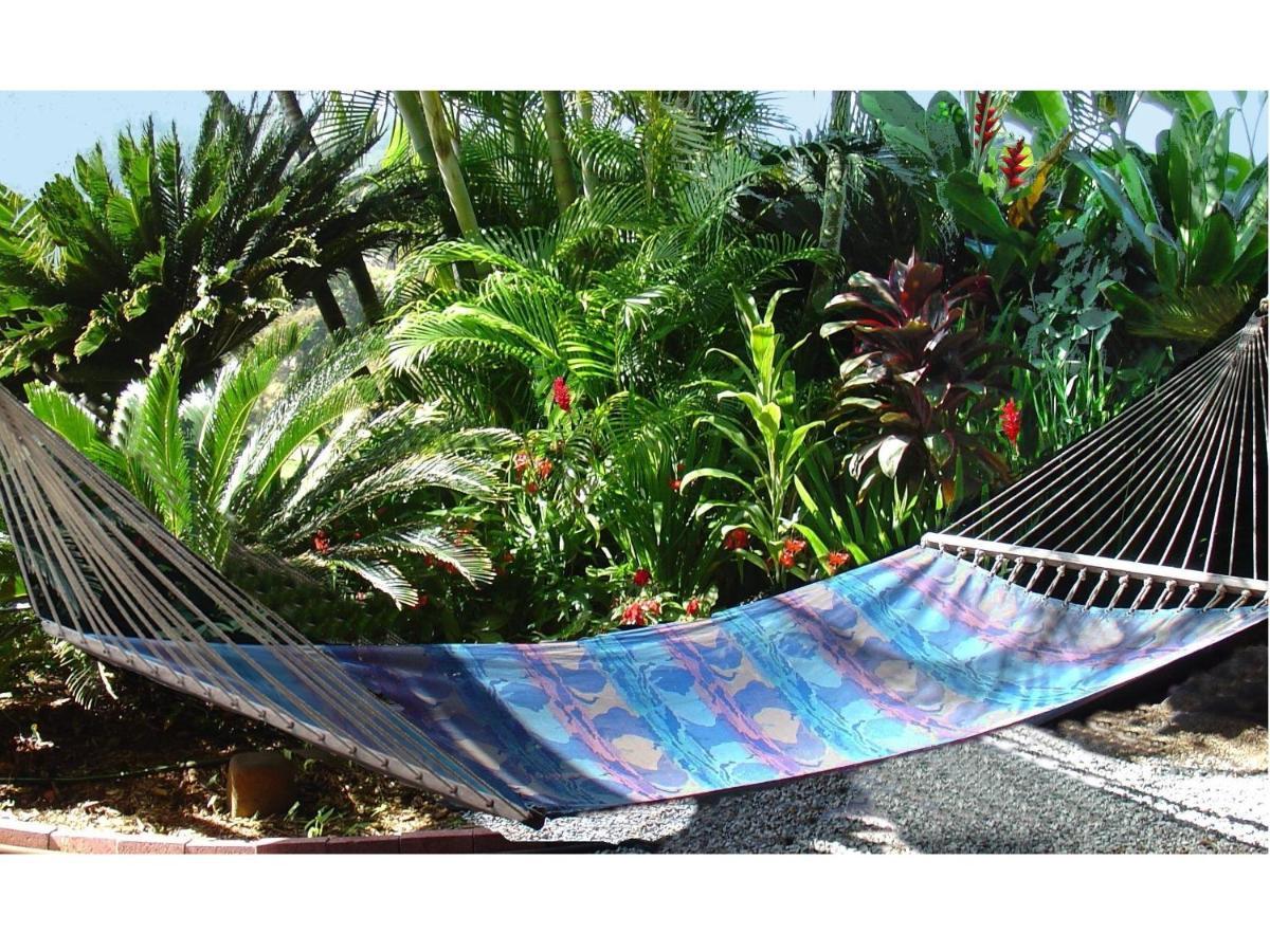Bed & Breakfast Adventure In Paradise Haiku
