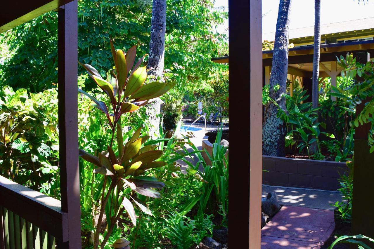 Napili Village Aparthotel