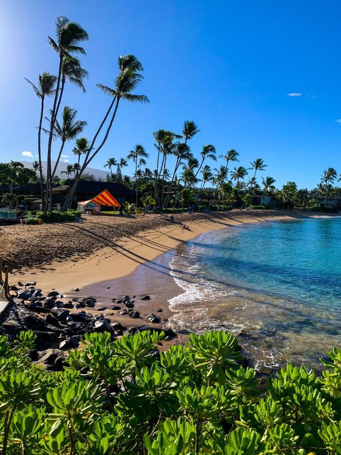 Napili Village