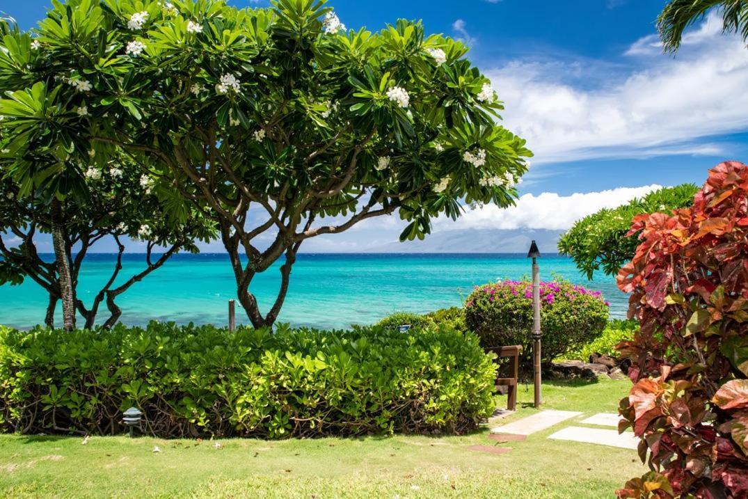 Kuleana 401 *