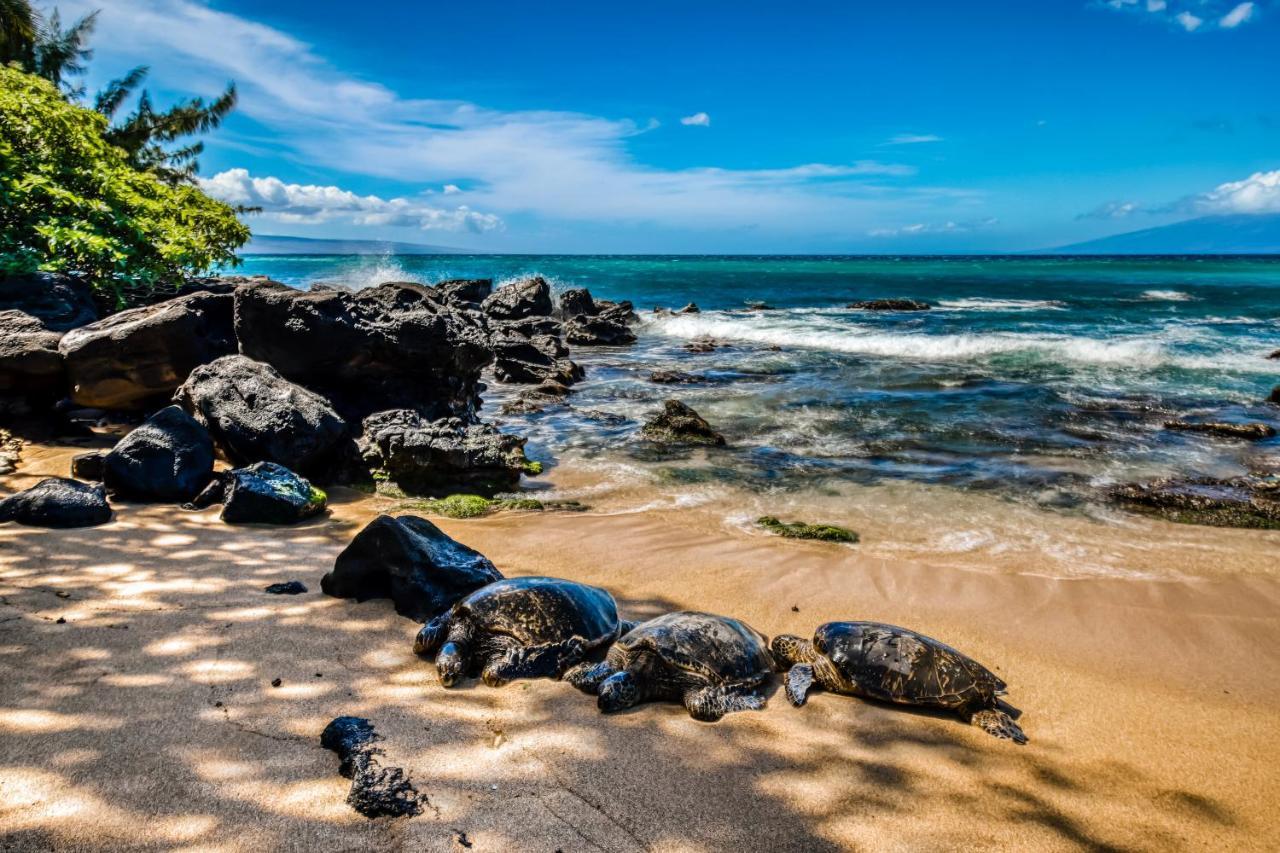 Mahina Surf I Holiday home