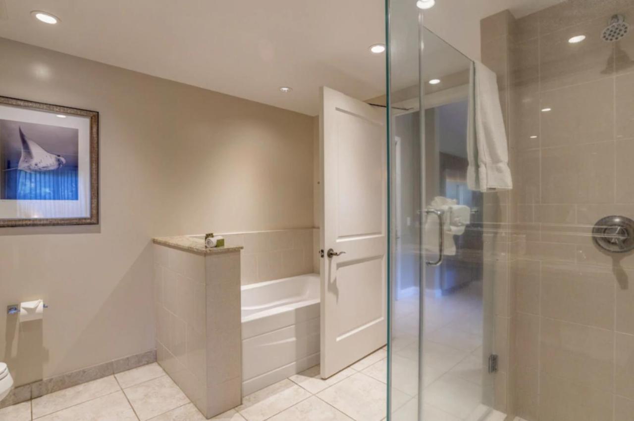 Apartment Ground Floor Direct Access With Private Outdoor Yard Space Luxury *