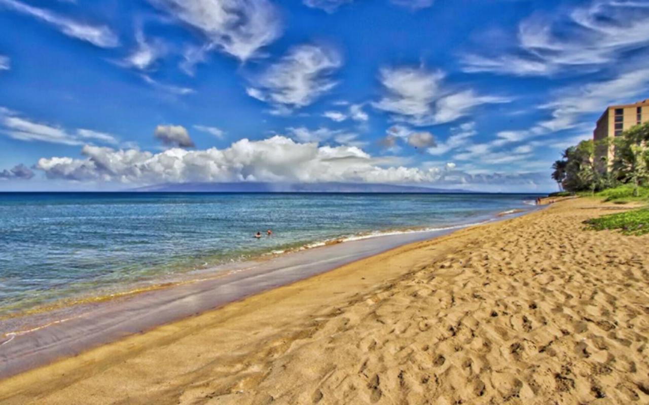Apartment Ground Floor Direct Access With Private Outdoor Yard Space Luxury Lahaina