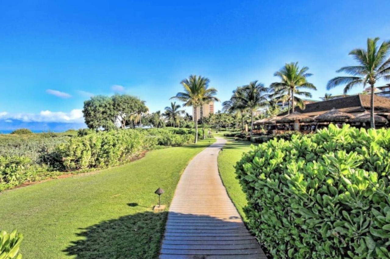 Apartment Ground Floor Direct Access With Private Outdoor Yard Space Luxury