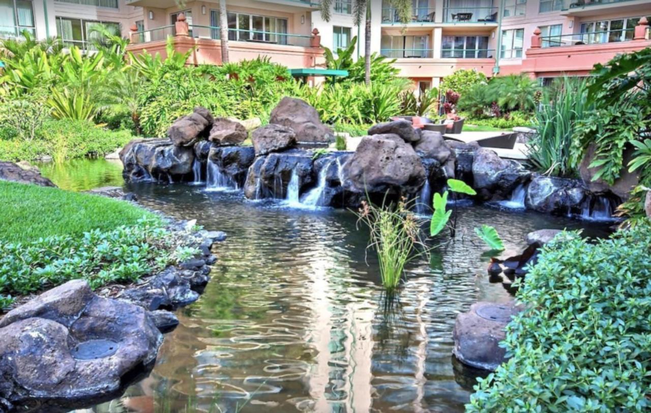 Apartment Ground Floor Direct Access With Private Outdoor Yard Space Luxury