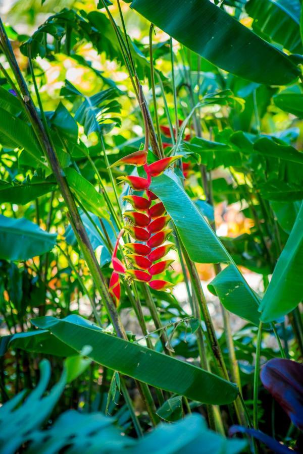 Lumeria Maui, Educational Retreat Center Lodge *