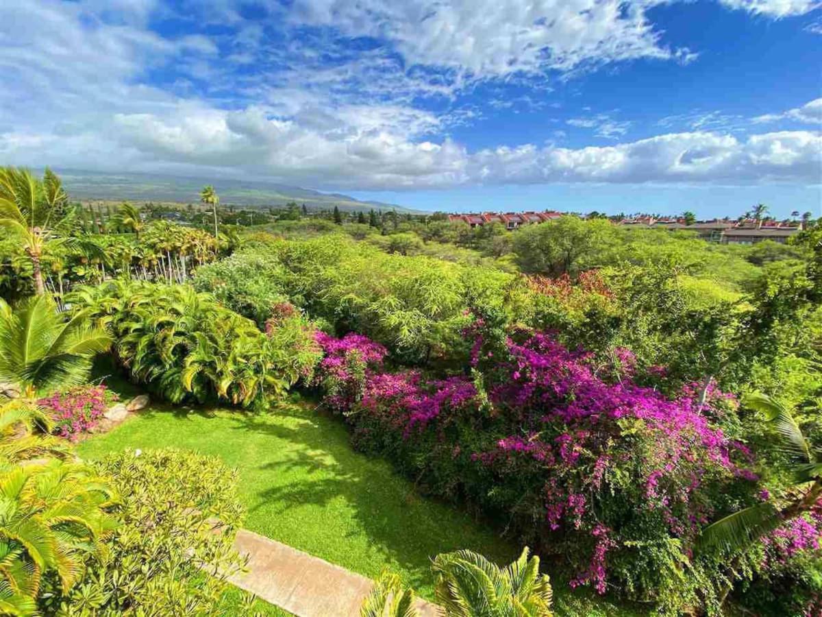 Apartment Penthouse 1 Bd King With Ocean Views! *