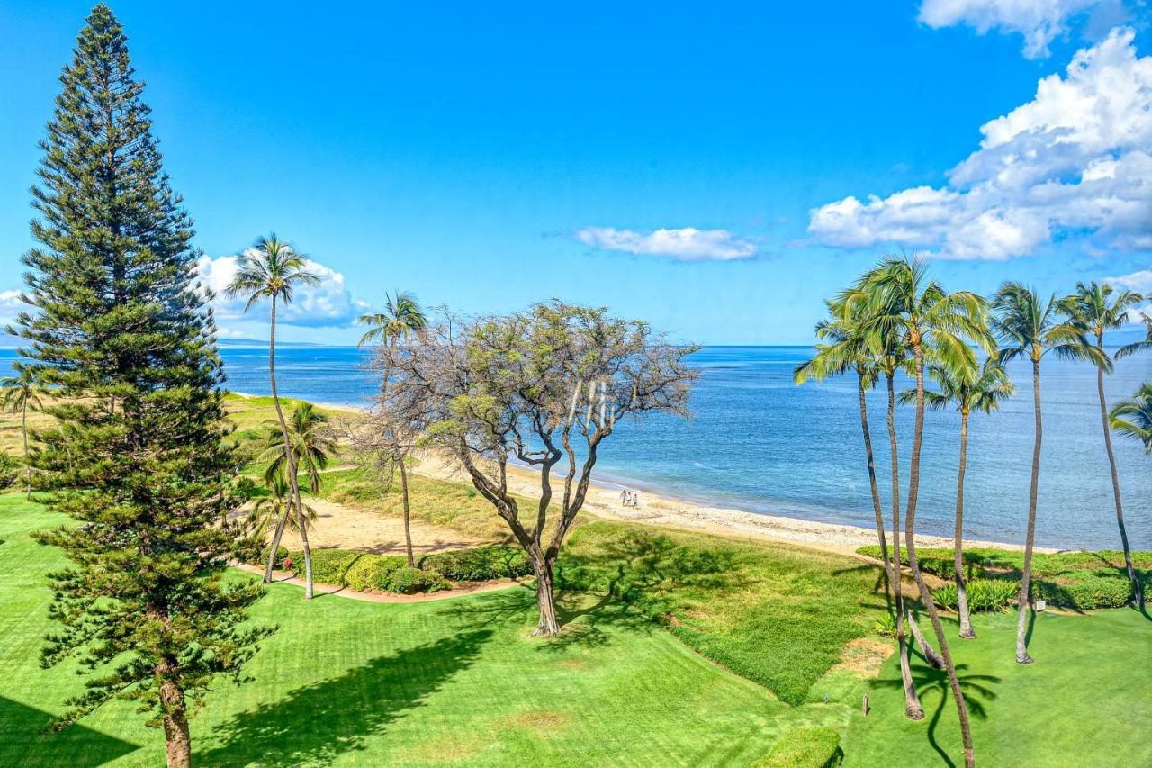 Menehune Shores 626 Apartment Kihei