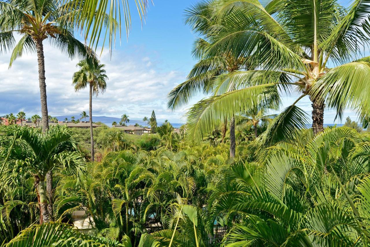 Maui Banyan T-305b Wailea (Maui)