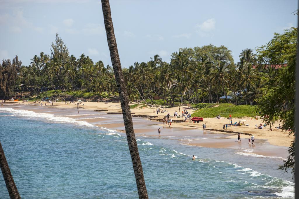 Royal Mauian, #302