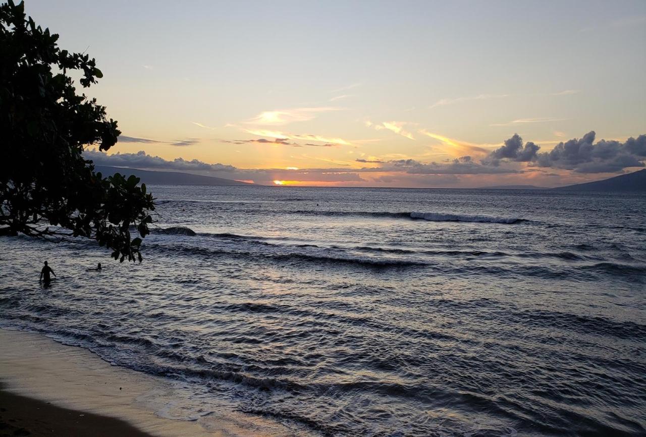 Maui Westside Presents: Kaanapali Shores 733 Stunning Ocean Views New Listing Apartment *