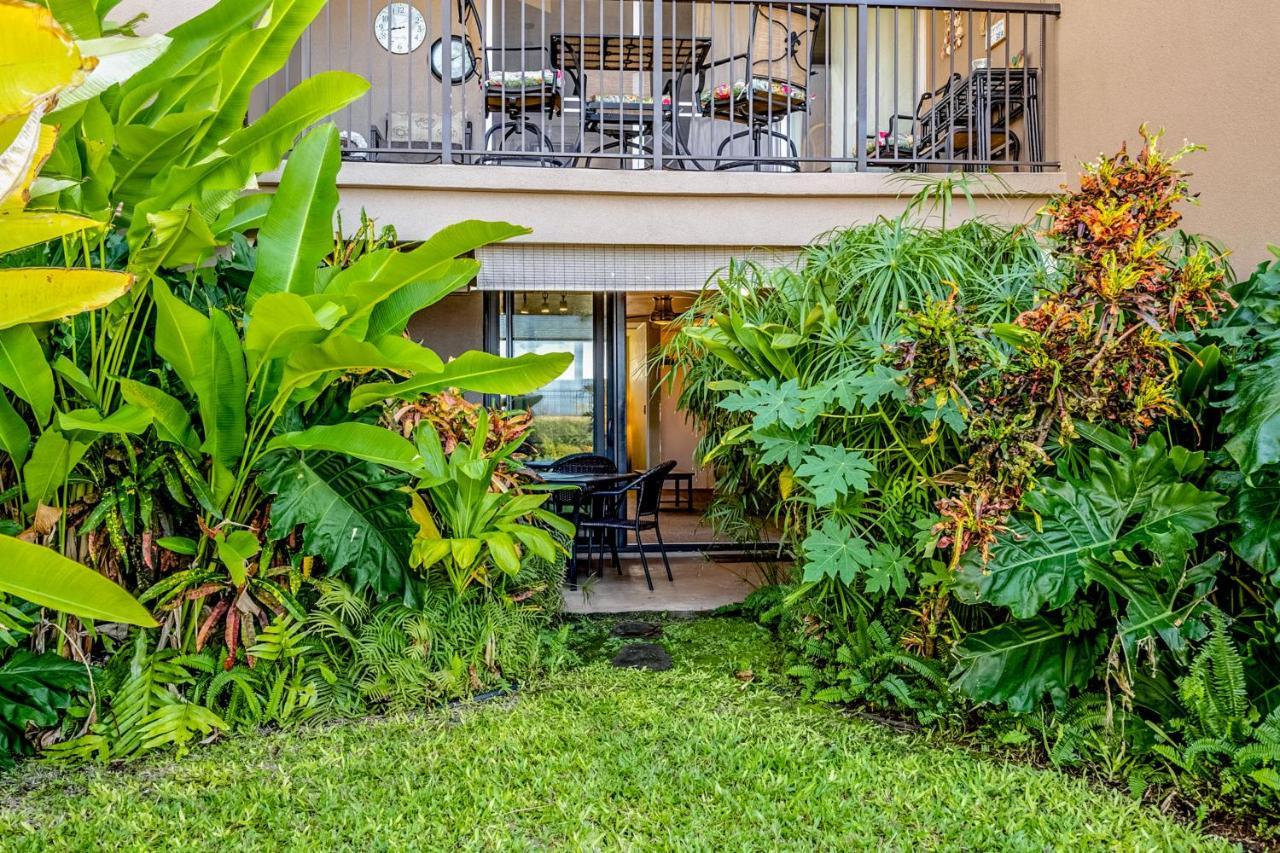 Apartment Hale Ono Loa
