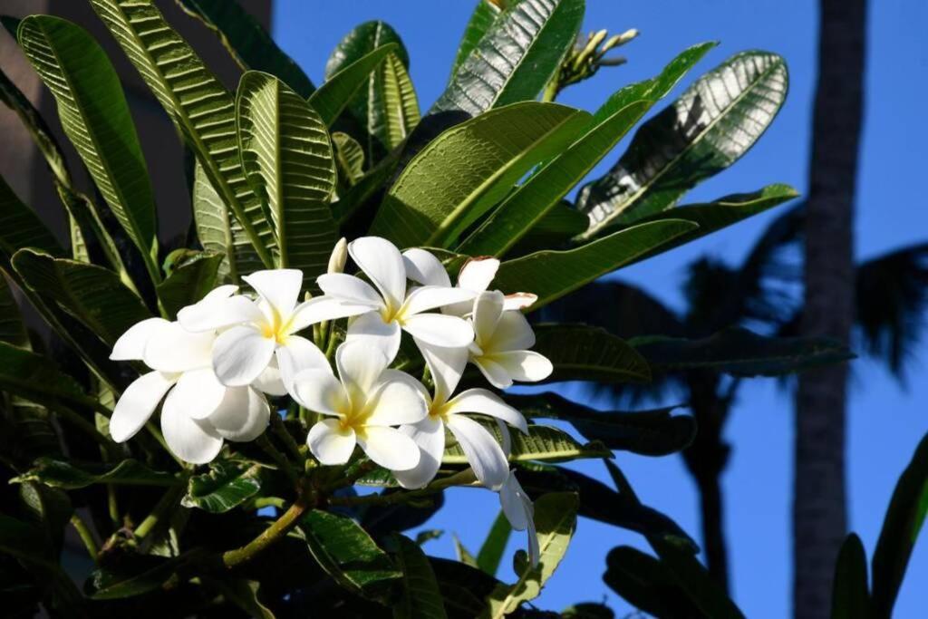 Aston Mahana Kaanapali * Lahaina