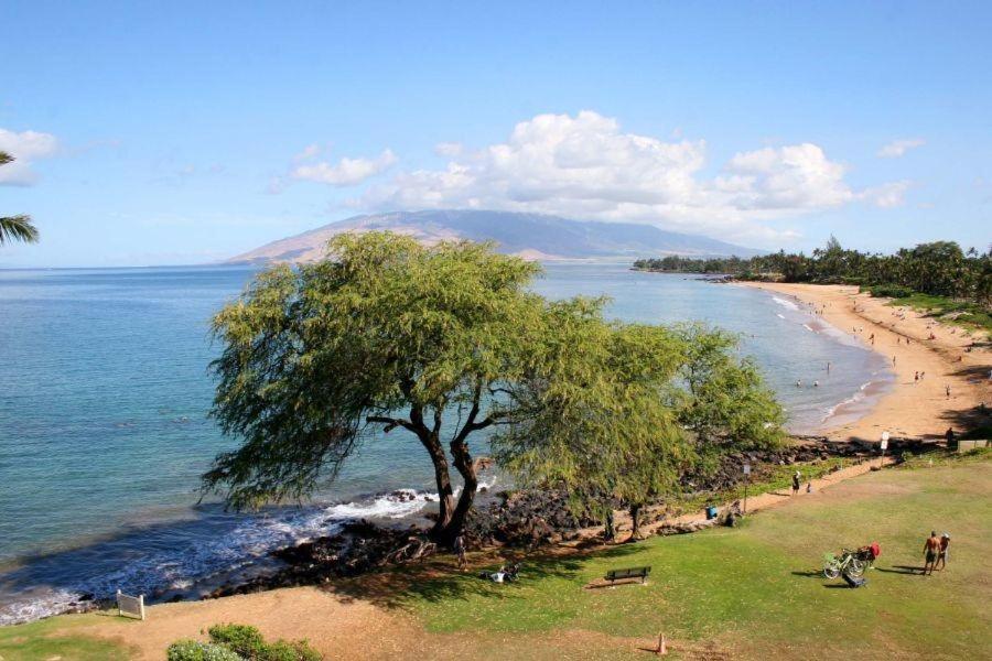 Royal Mauian, #202 Kihei