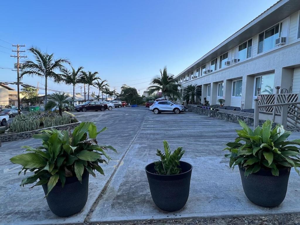 Unit 3 Maui Ohana Modern