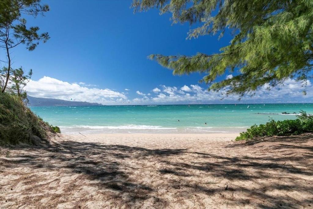 Unit 13 Maui Ohana Modern Wailuku