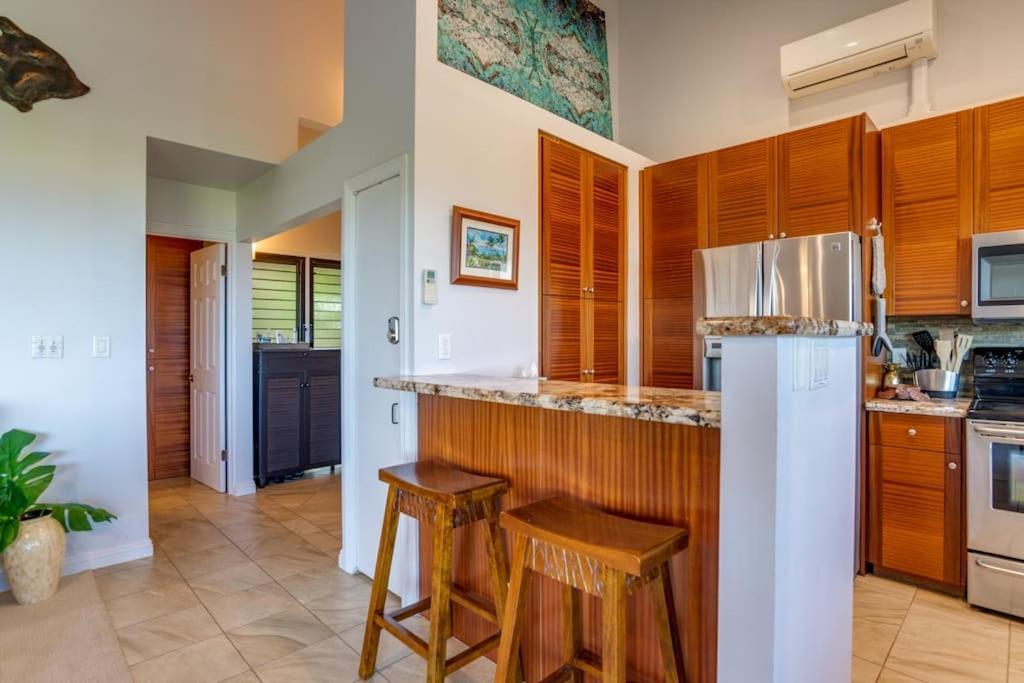Wonderful Wailea With Lanai Water Views Apartment