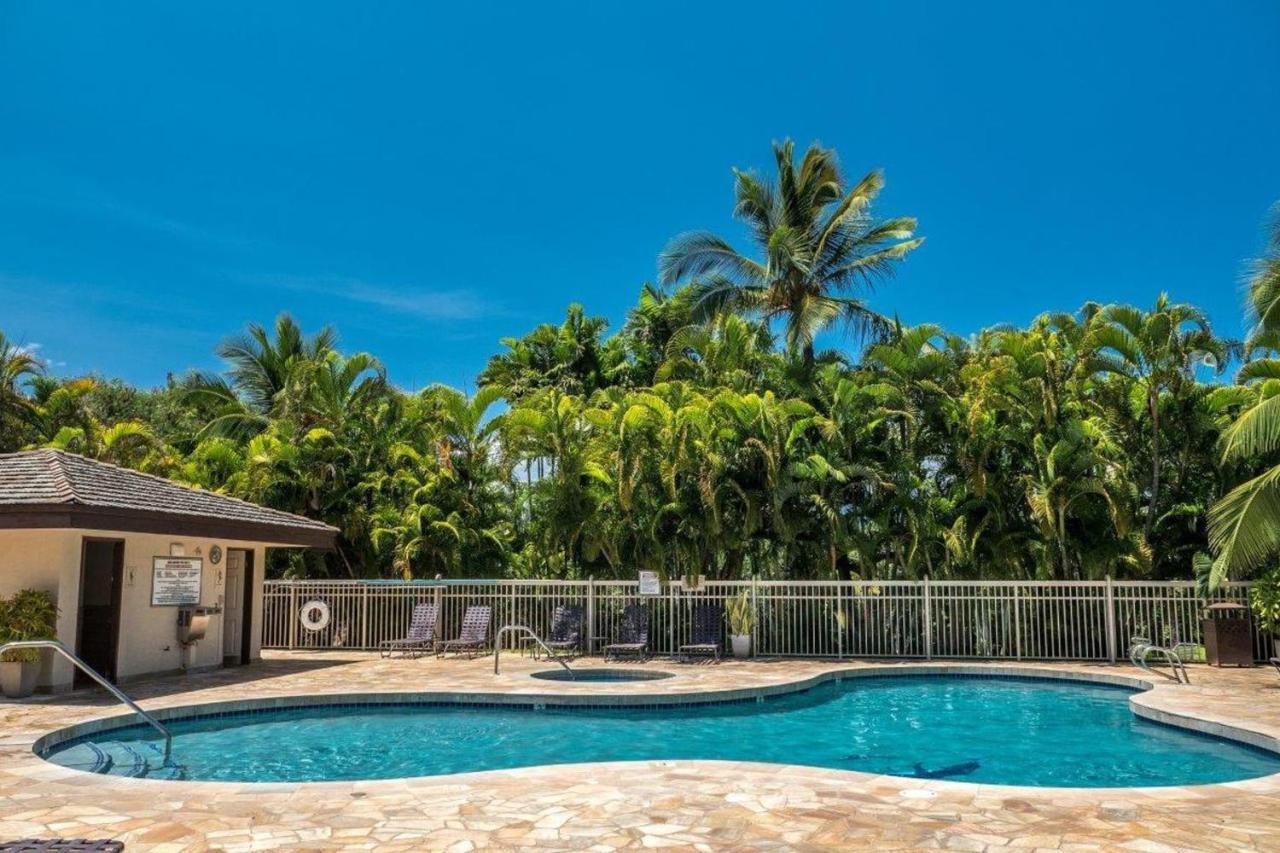 Maui Banyan