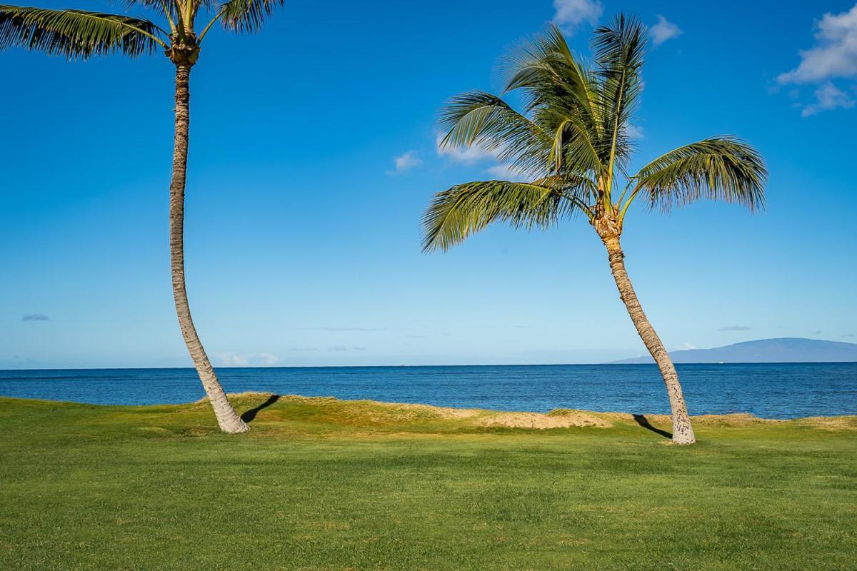 Maui Sunset B-115 *