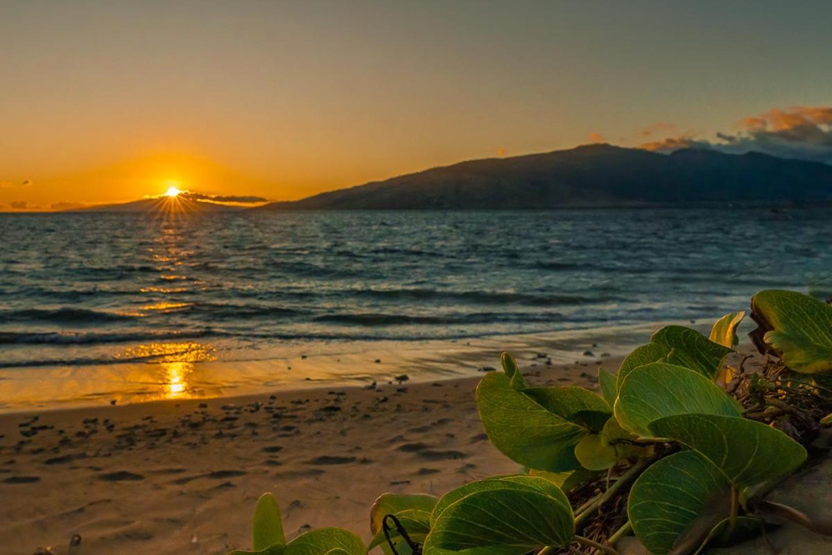 Apartment Maui Sunset B-115