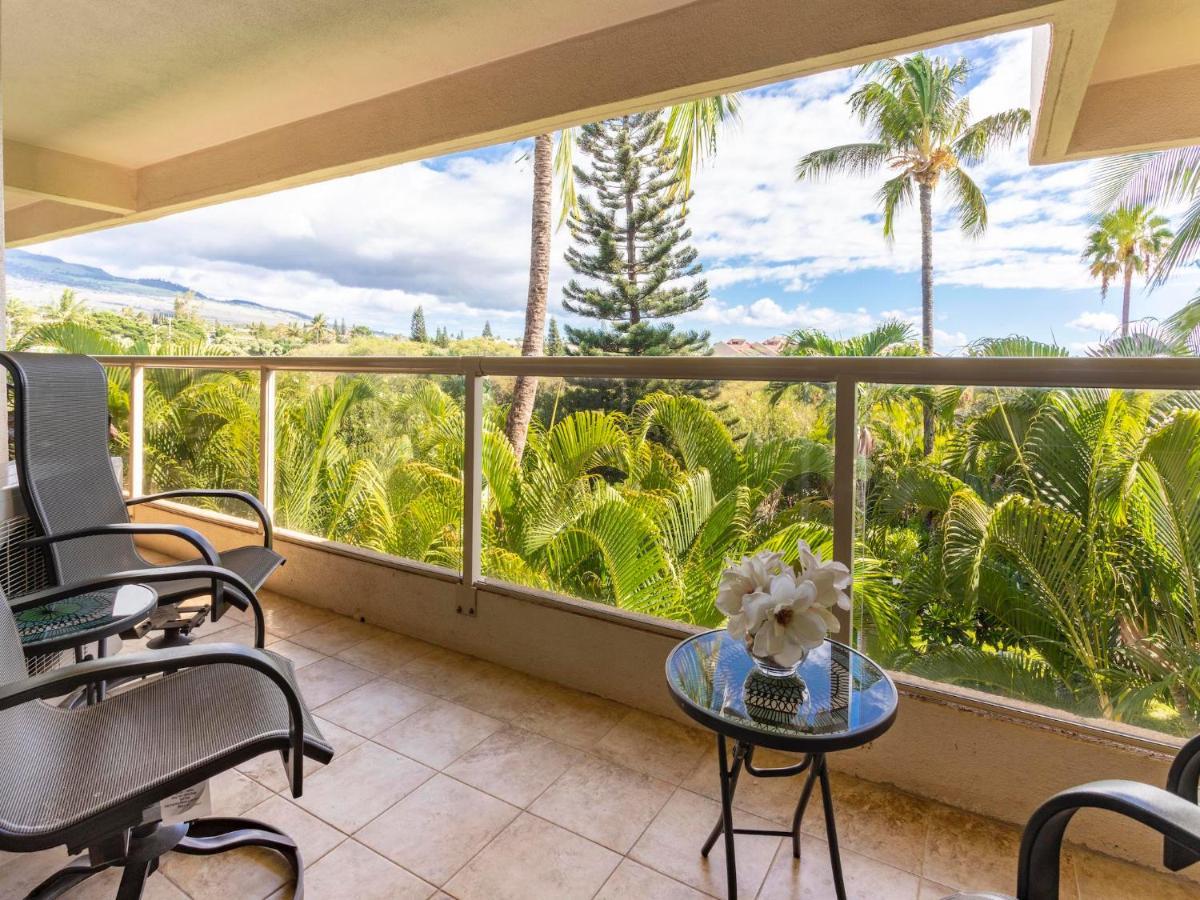 Maui Banyan T-305 *