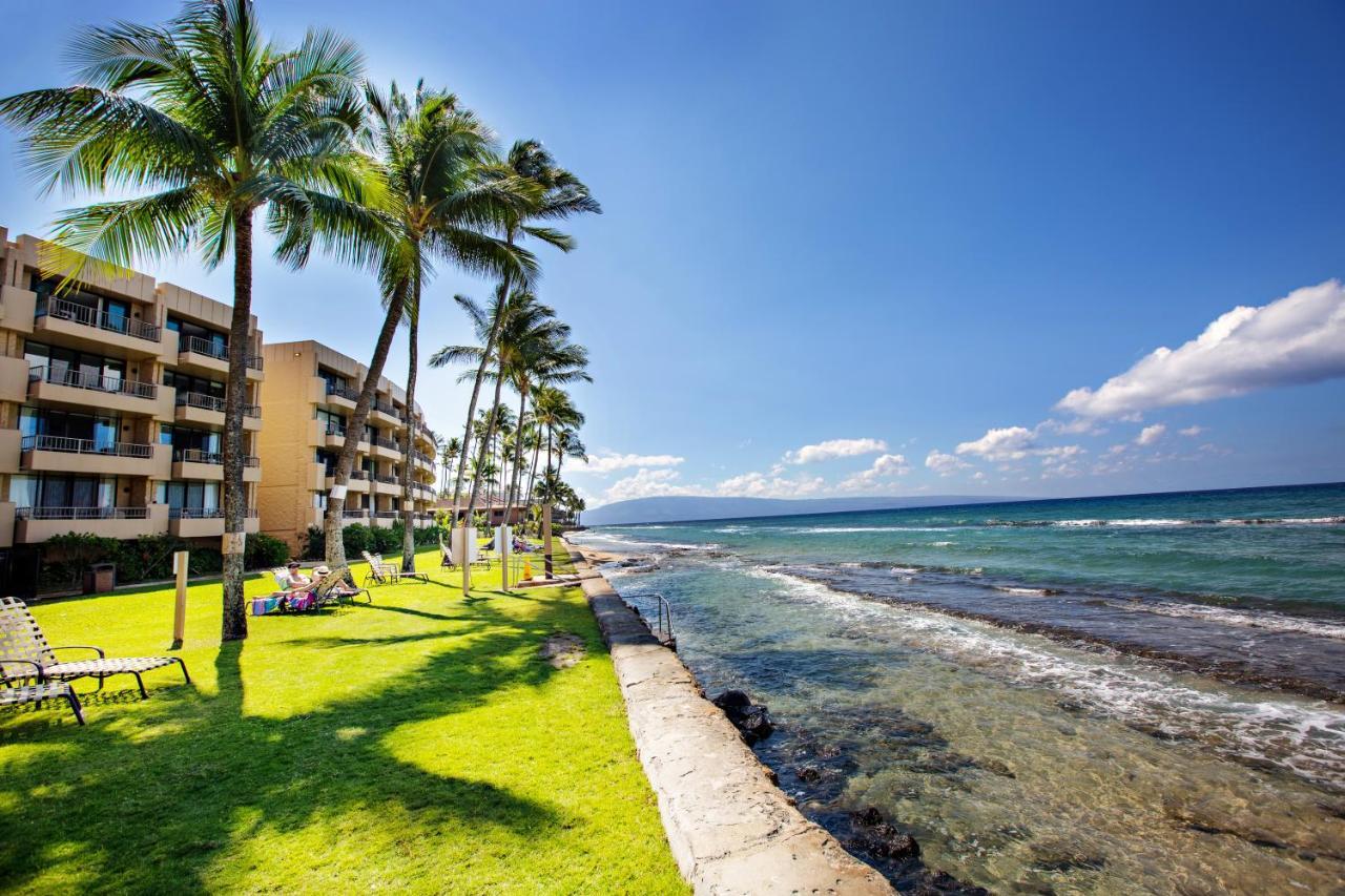 Paki Maui 101 * Kahana