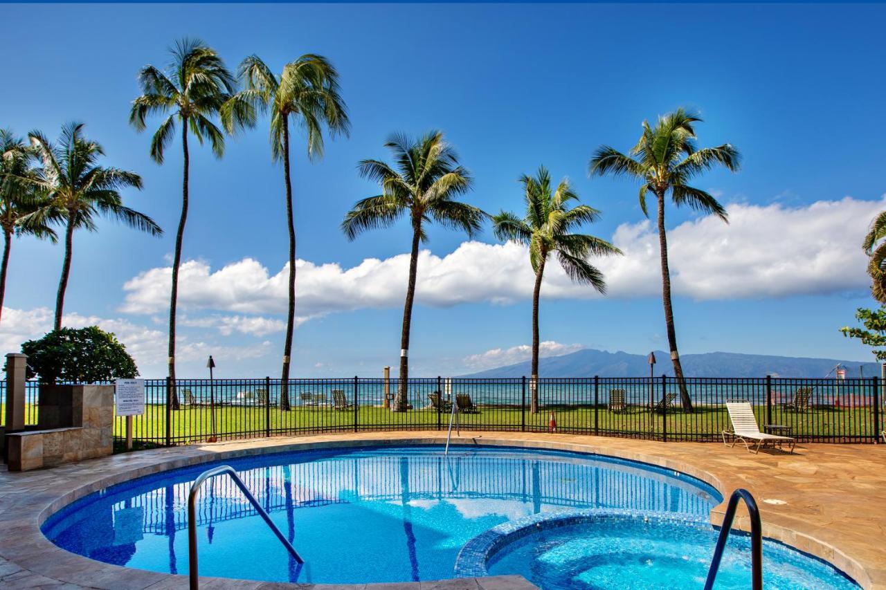 Paki Maui 101 *