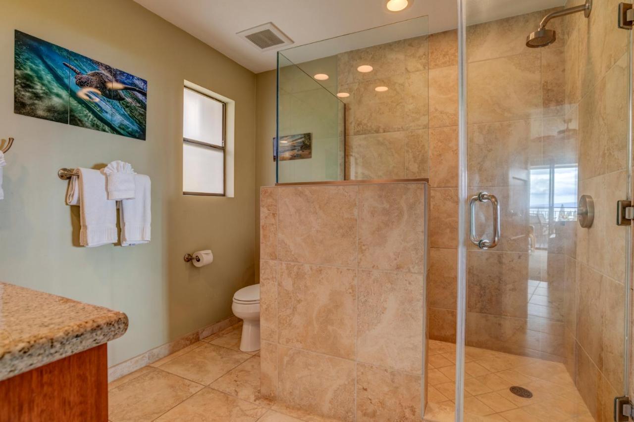 Kapalua Golf 20v 3 Holiday home