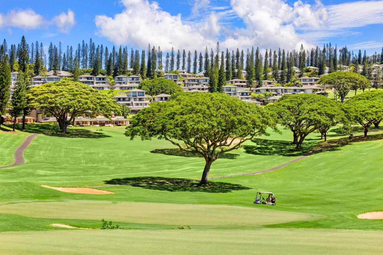 Kapalua Golf 20v 3 Holiday home Kahana