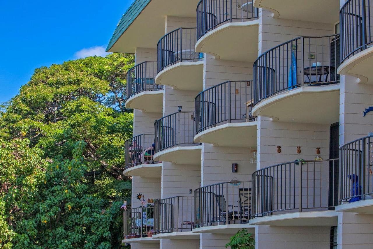 Reef 321 Holiday home Kahana