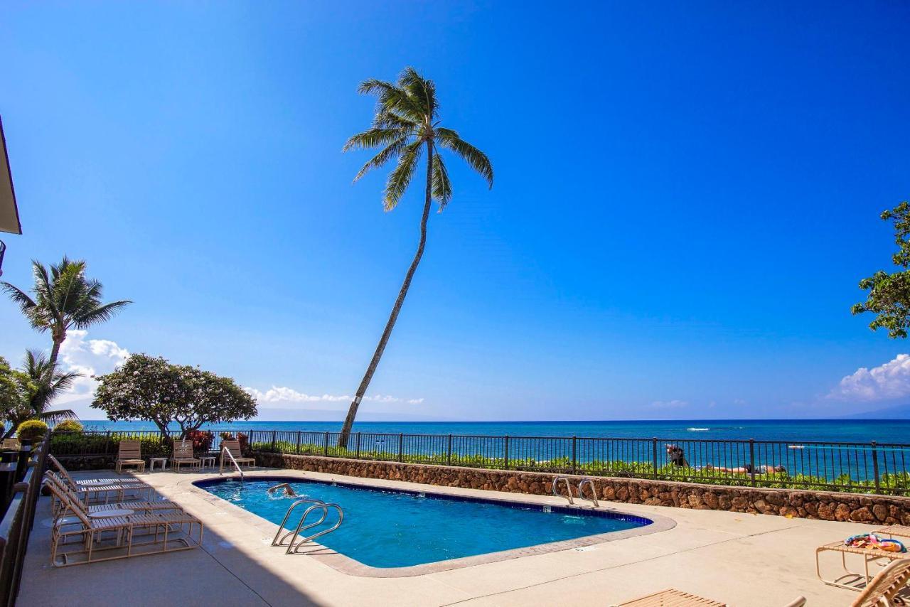 Reef 321 Holiday home