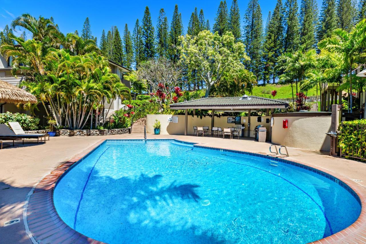 Kapalua Golf 20v 3 Holiday home Kahana