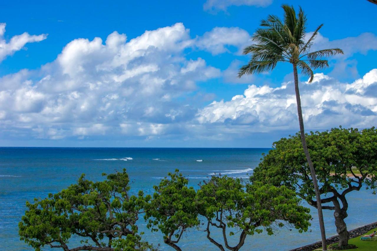 Reef 321 Holiday home *