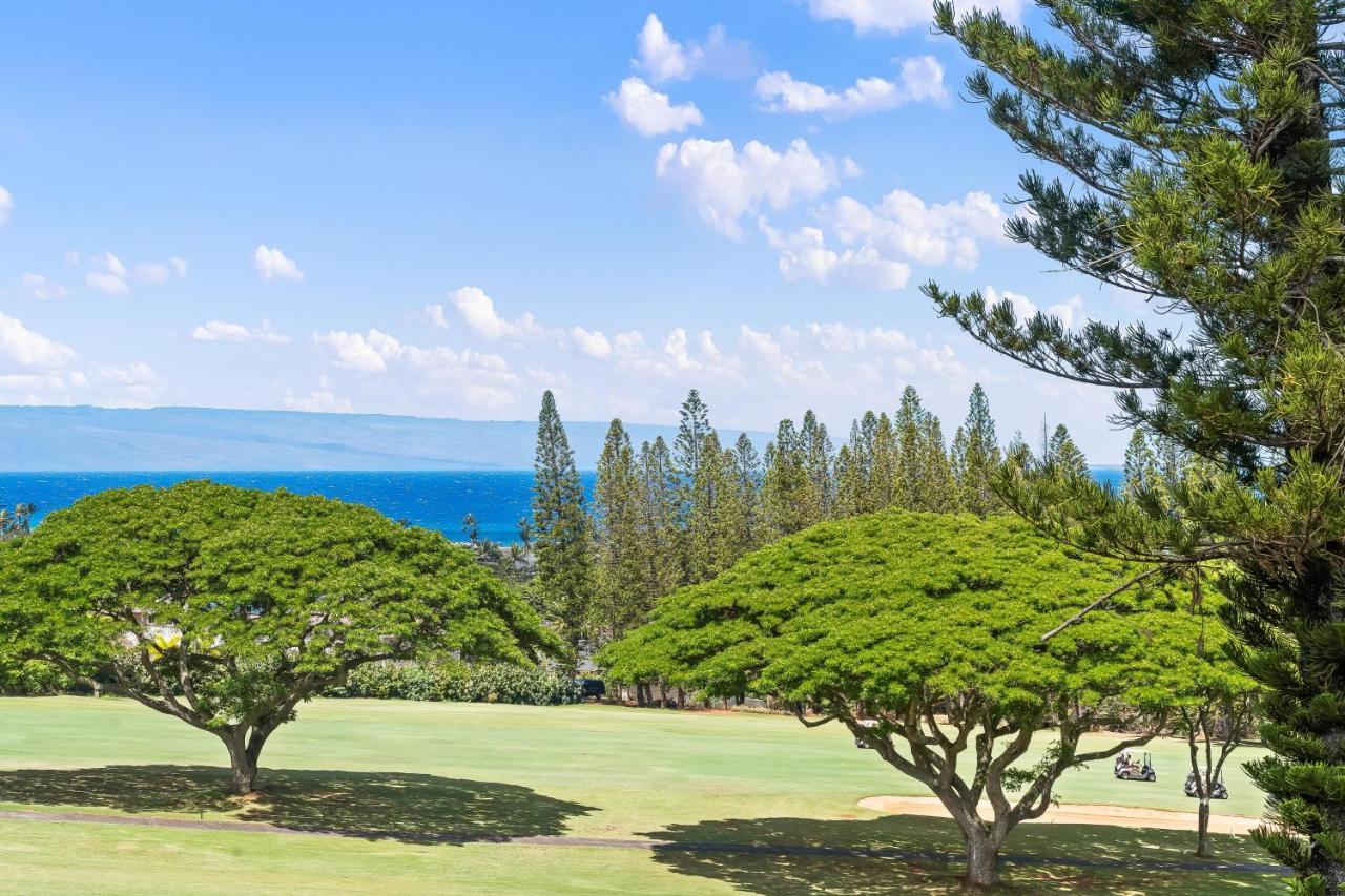 Kapalua Golf 17t8 Holiday home