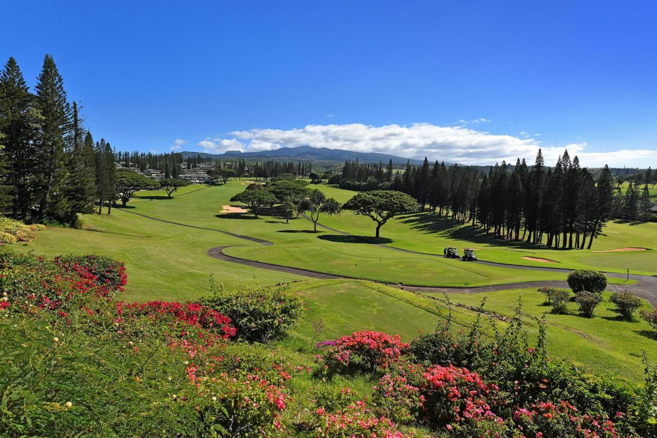 Kapalua Golf 17t8 * Kahana
