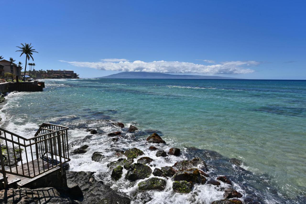 Kaleialoha 309