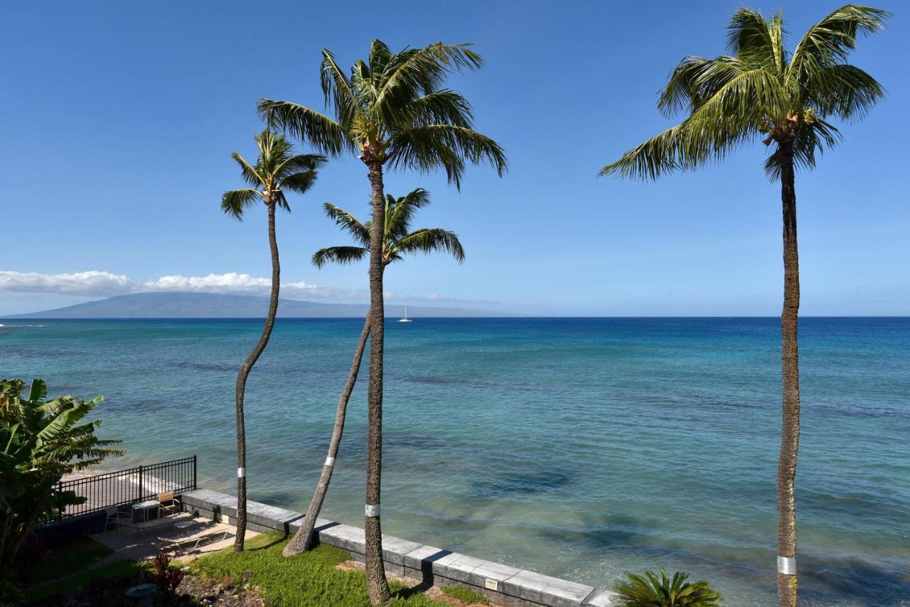 Kulakane 304 Kahana