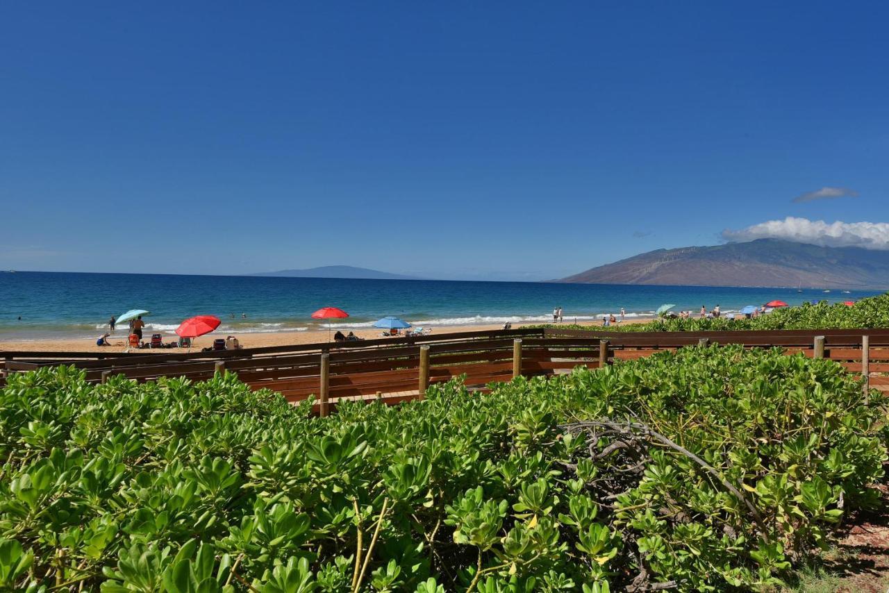 Kihei Akahi C616 *