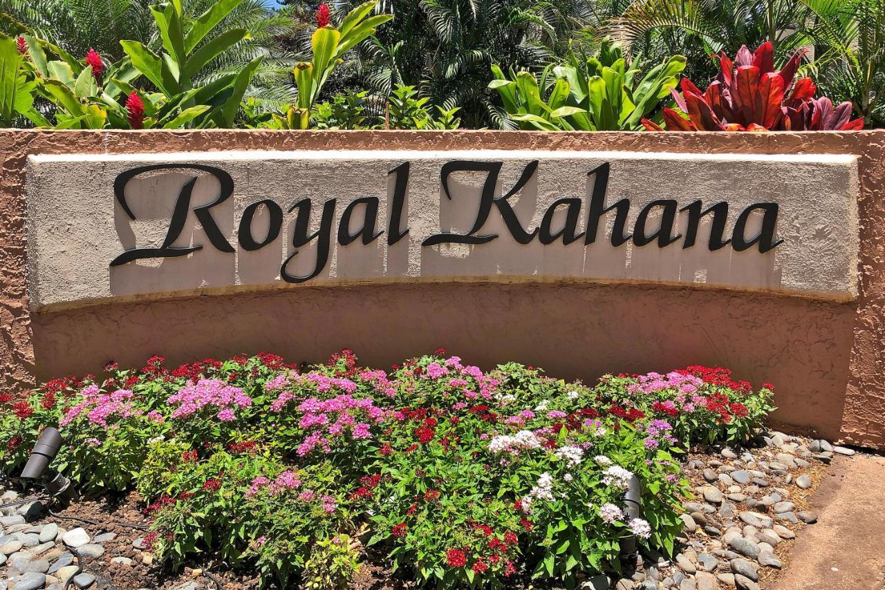 Apartment Royal 104