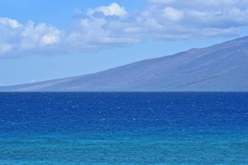 Oceanfront Kuleana Special!!! *