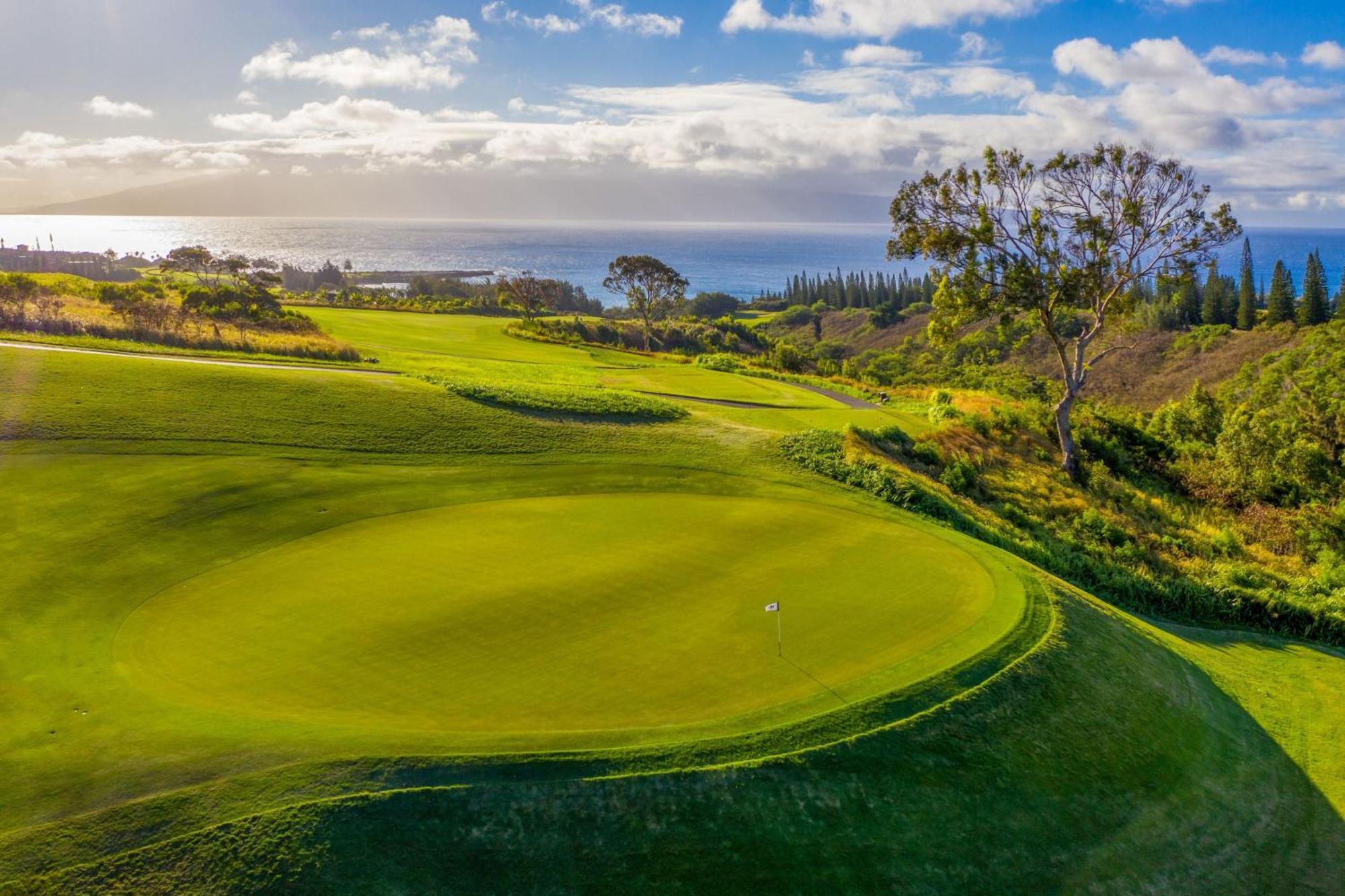 Resort The Ritz-carlton Maui, Kapalua 5*