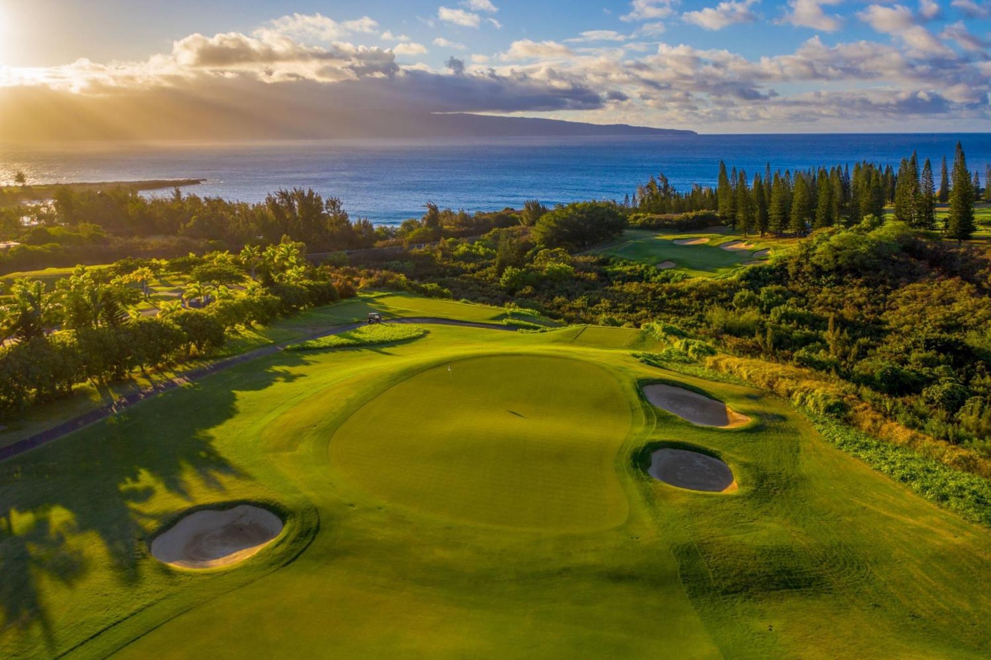 Resort The Ritz-carlton Maui, Kapalua